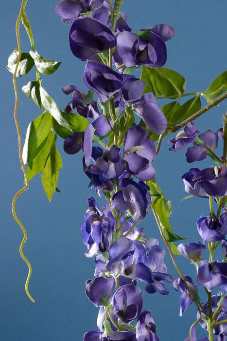 70" Wisteria Spray Purple