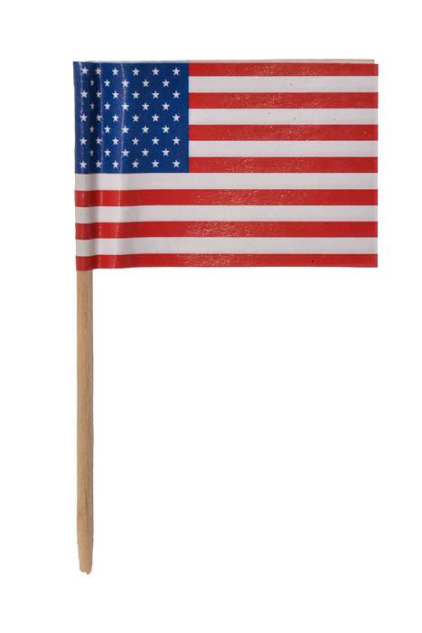 2.5" U S Flag Picks PKG/50