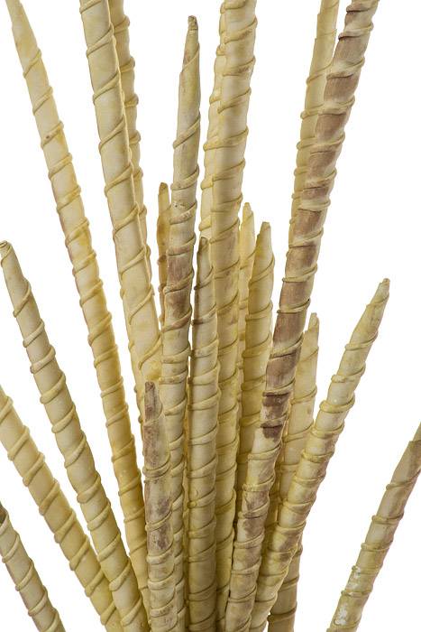 27" Foam Bamboo Willow Bush Beige