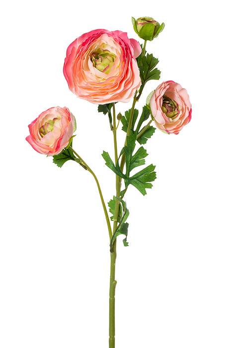 26" Silk Ranunculus Spray Pink