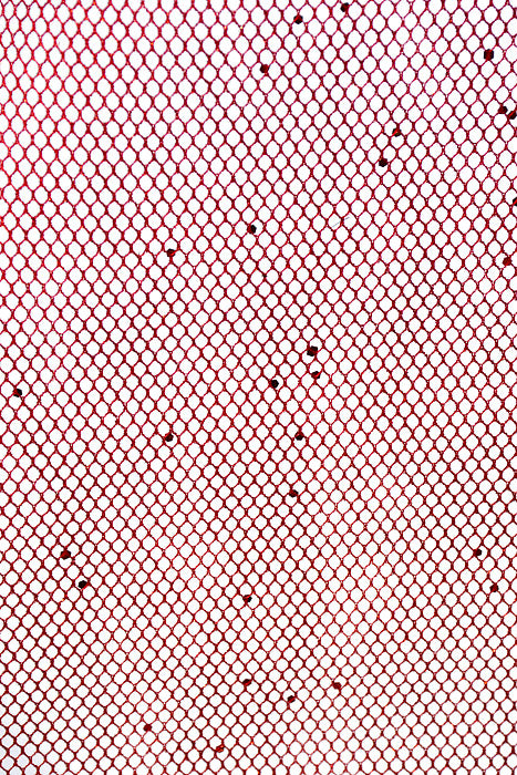 19" X 10Yds Metallic Mesh W/Glitter Red