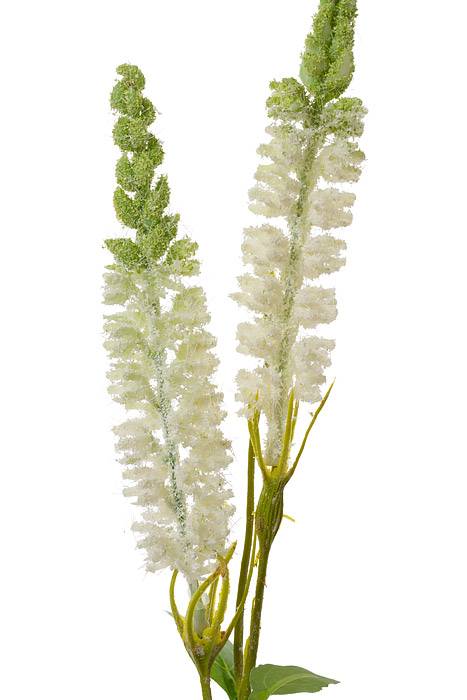 23.5" Astilbe Spray White
