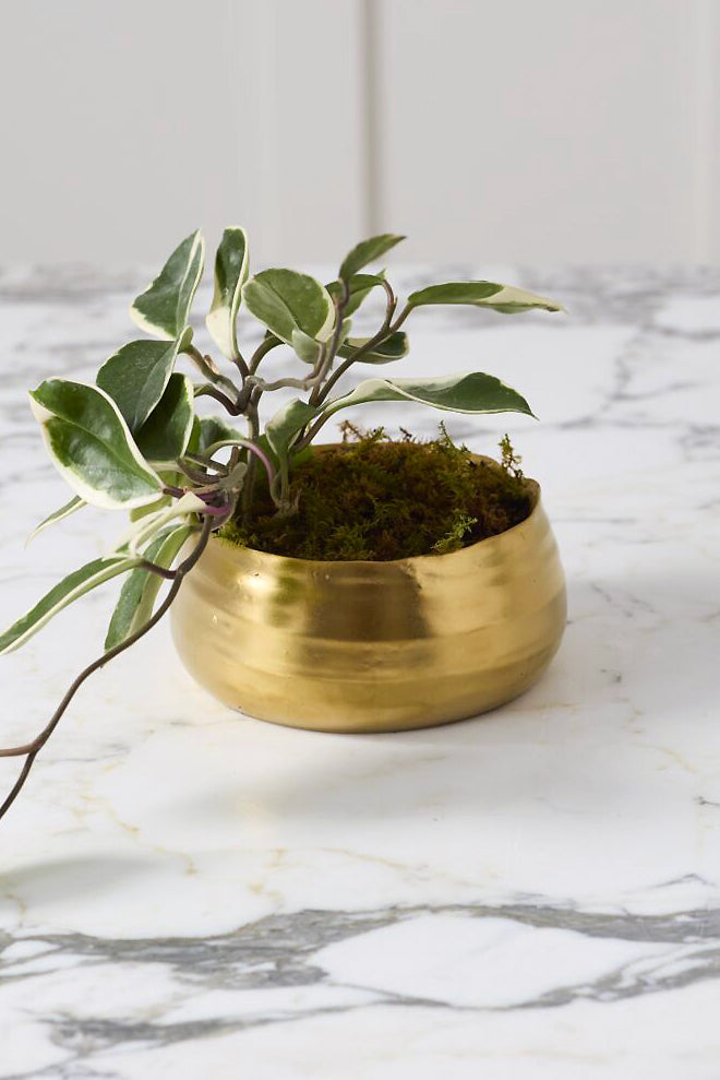 5.5"X 2.75" Tegan Bowl Gold