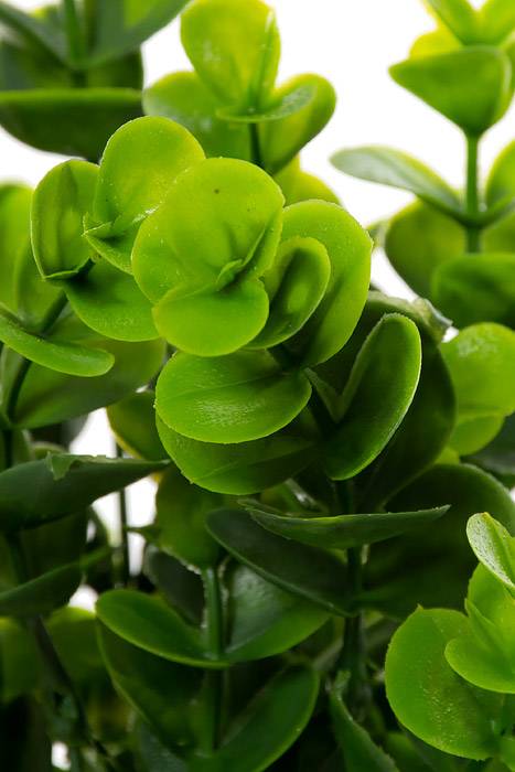 13" Eucalyptus Bush Green/two Tones