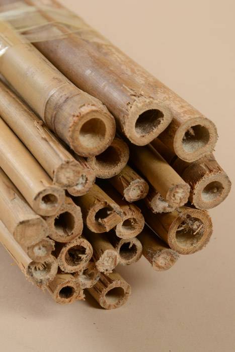 10ft Bamboo Pole Natural (Pkg/5)