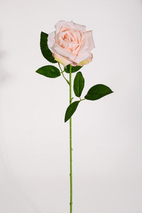 20" Silk Rose W/Thorns Stem Light Peach