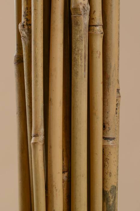6ft X 3/4" Bamboo Stake Natural Pkg/5