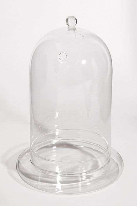 12" Terrarium Glass Cloche Clear