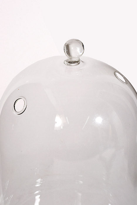 12" Terrarium Glass Cloche Clear