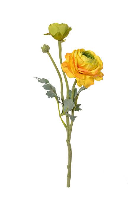 15" Silk Ranuculus Spray W/bud Yellow/Green