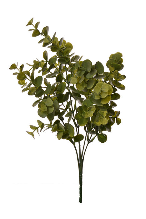 14.25" Eucalyptus Bush Green