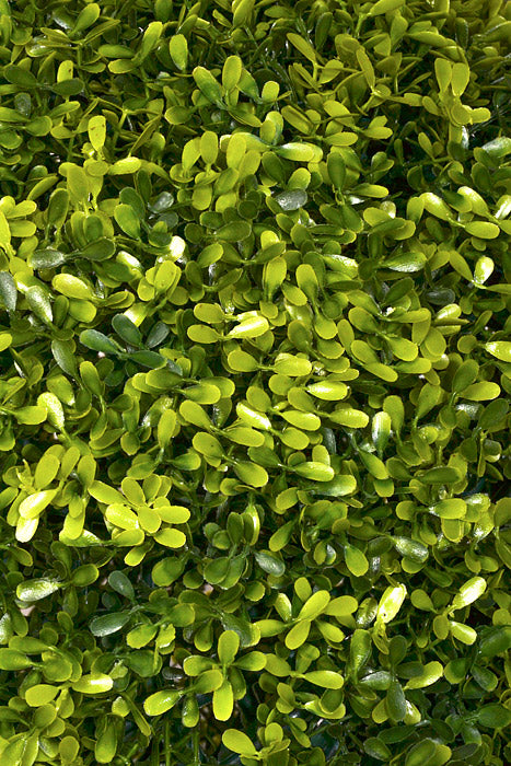 20" Artificial Tea Leaves Ball Green