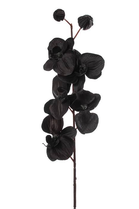 29" Phalaenopsis Orchid Spray Black