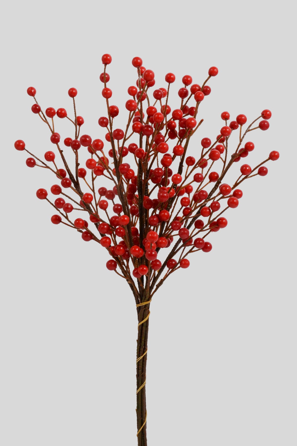 18" Waterproof Berry Spray Red Pkg/6