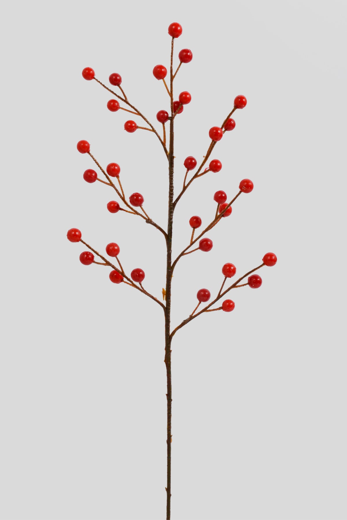 18" Waterproof Berry Spray Red Pkg/6