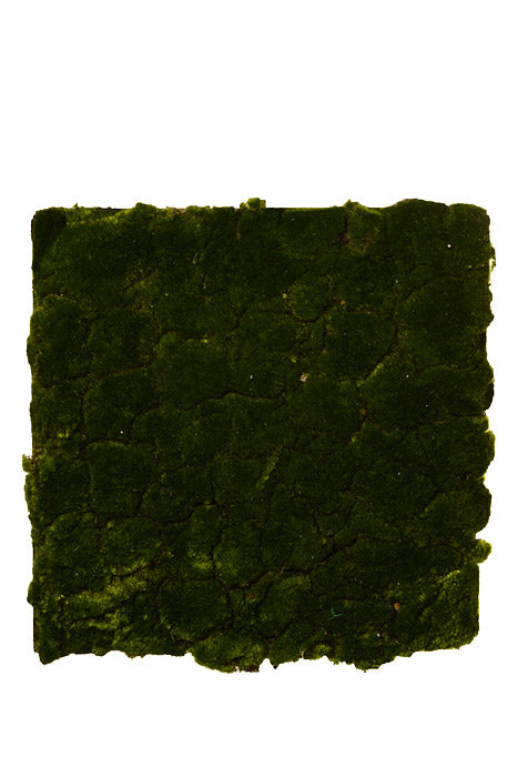 19.5" Moss Sheet Green