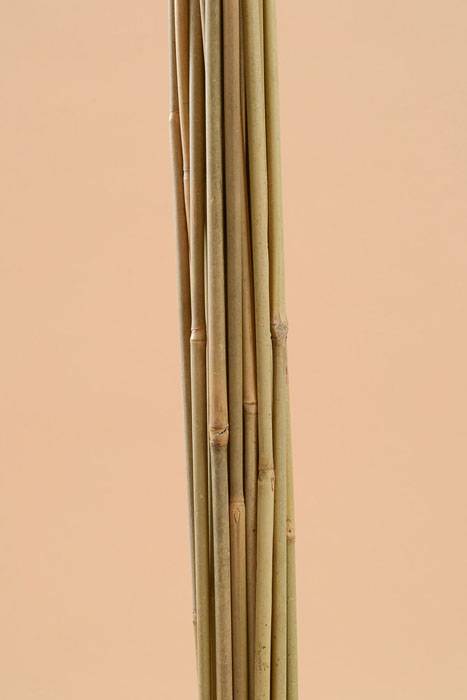 2.5ft Bamboo Stake Natural Pkg/25