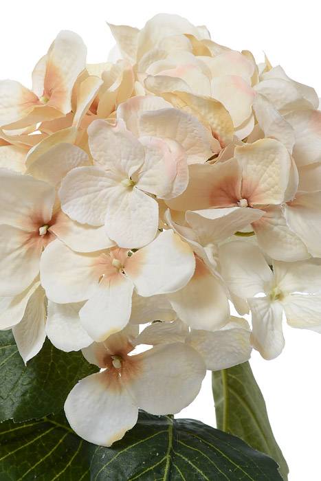 19" Silk Hydrangea Spray Beige