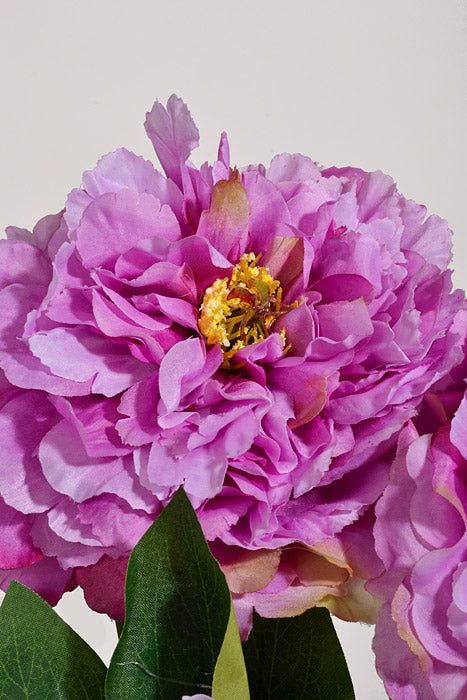 21.5" Silk Peony Bush Purple