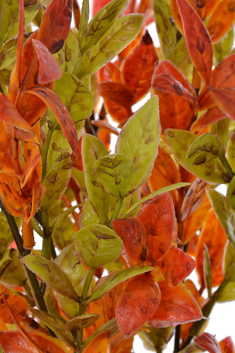 20" Plastic Ruscus Bush