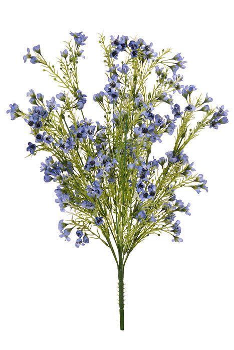 19" Waxflower Bush Light Blue