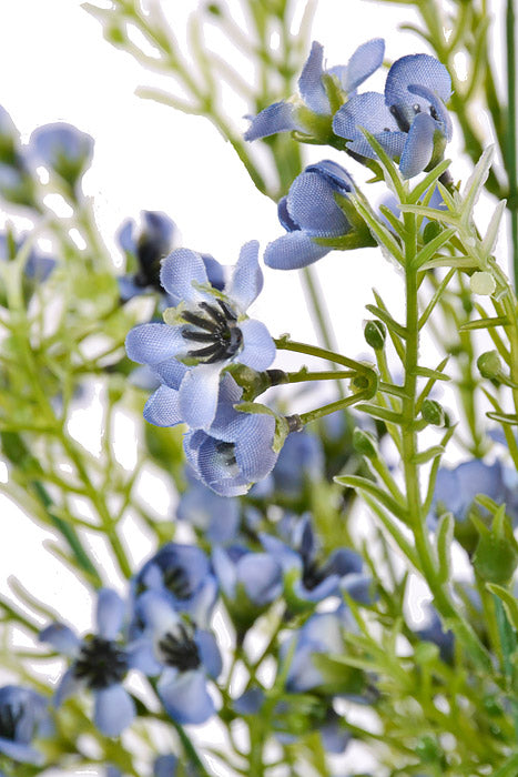 19" Waxflower Bush Light Blue
