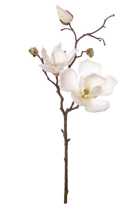 20" Silk Magnolia Spray Cream