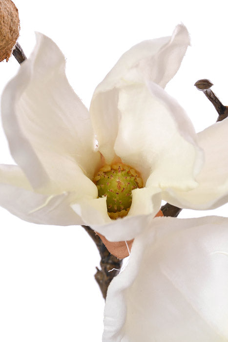 20" Silk Magnolia Spray Cream