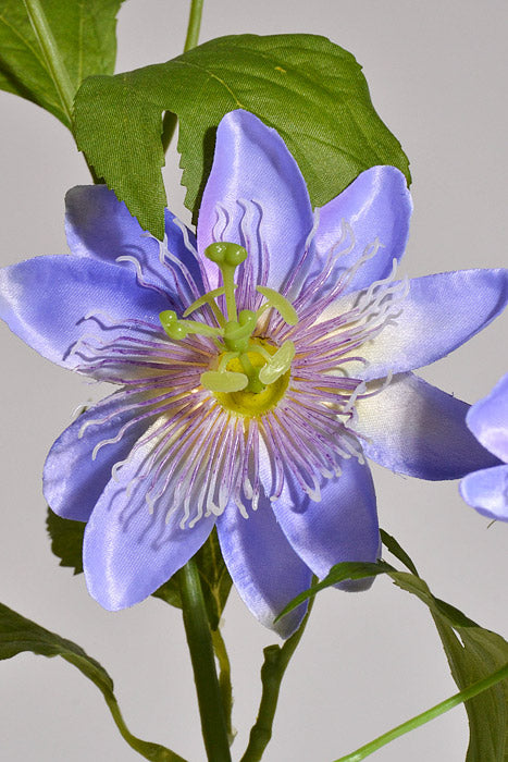 26.5" Silk Clematis Spray Lavender