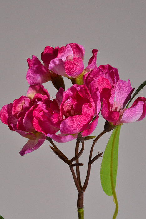 24" Silk Wild Stock Spray Beauty