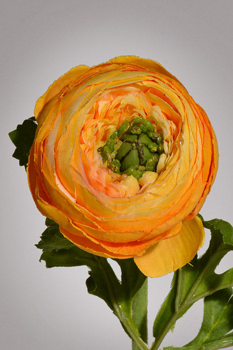 13" Silk Ranunculus Spray Yellow/Gold