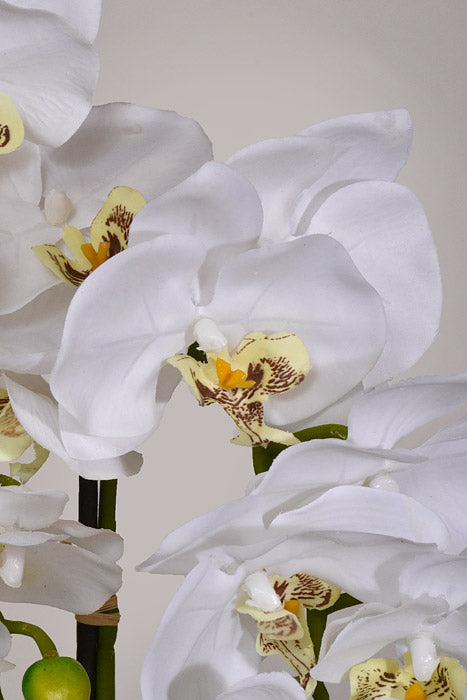 22" Silk Phalaenopsis Plant With Ceramic Pot White