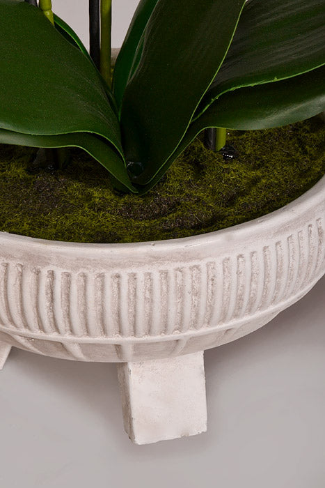 22" Silk Phalaenopsis Plant With Ceramic Pot Orchid