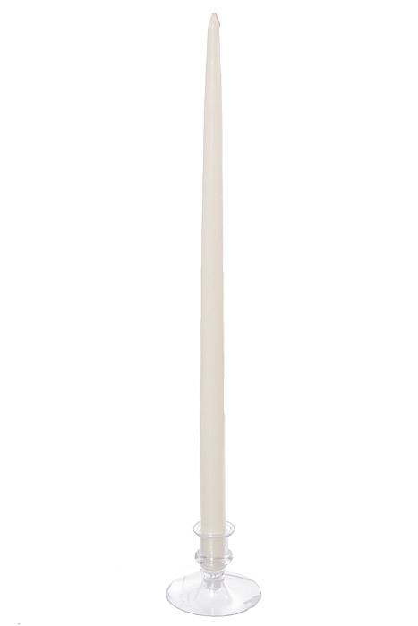 18" Patrician Taper White Box/12