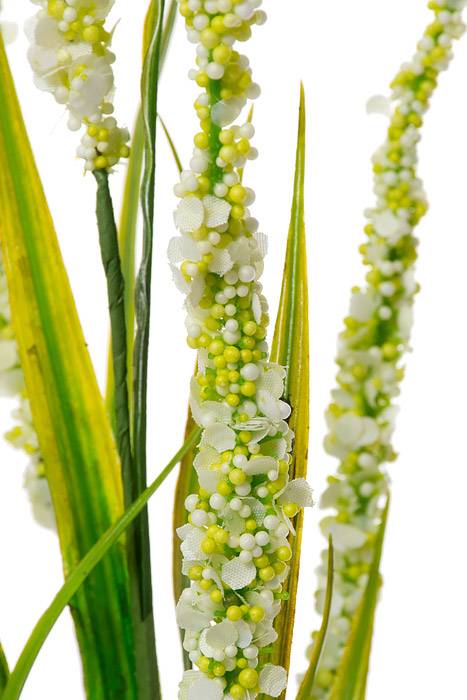 25" Foxtail Spray Cream