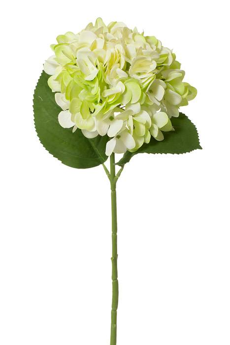 18.5" Silk Hydrangea Bloom W/2 Leaves Green