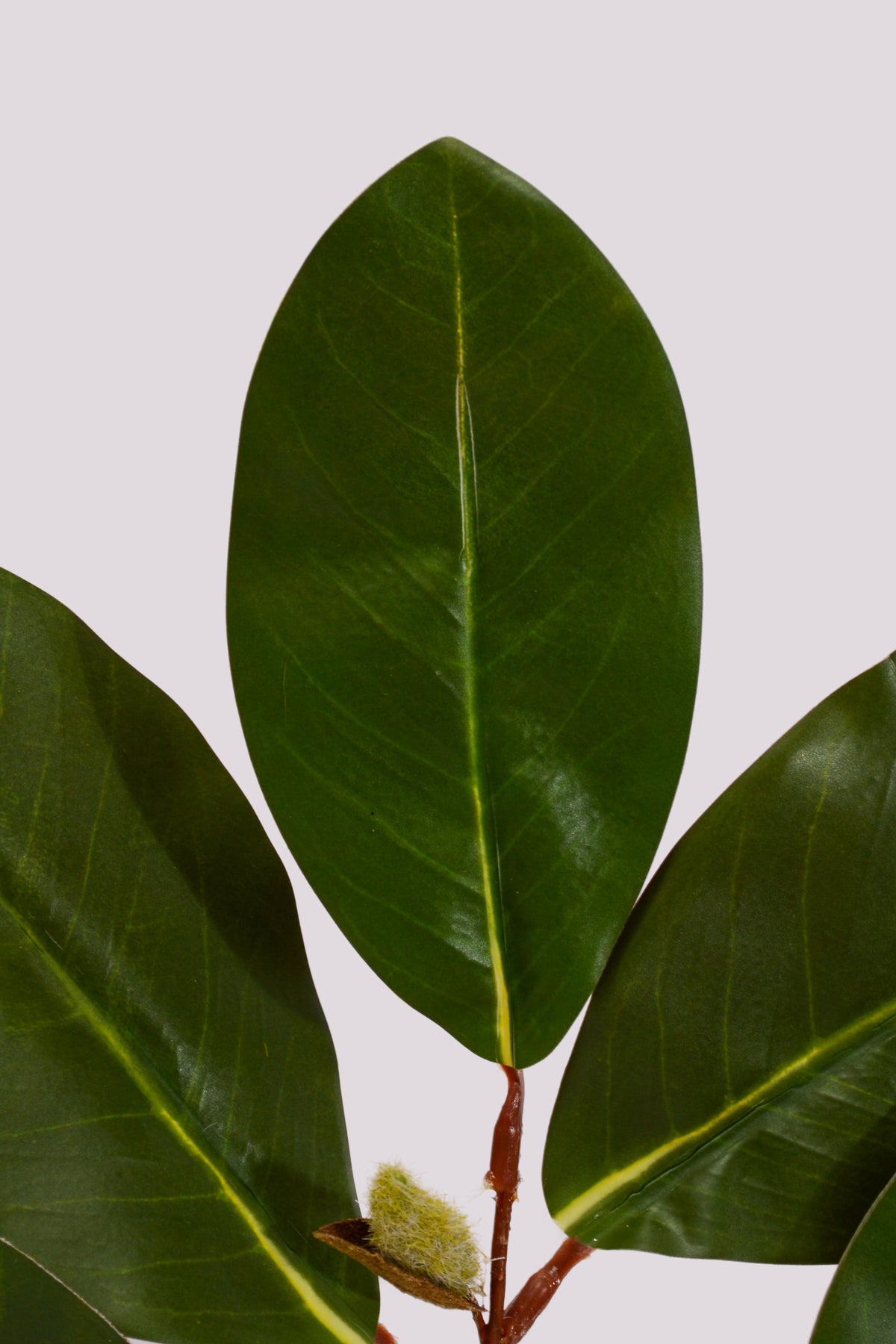 20" Artificial Magnolia Spray Green