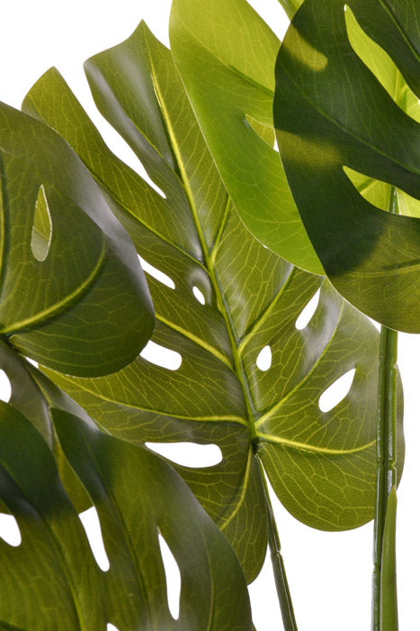 26.5" Monstera Plant (Green)