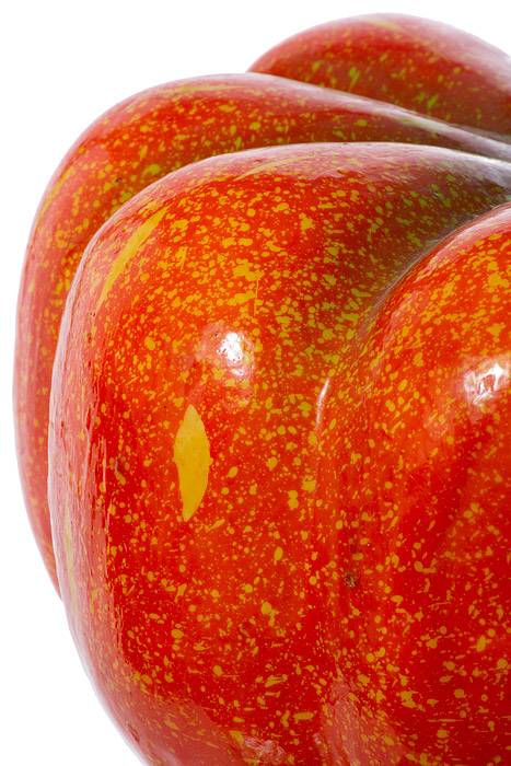 19" X 11" Pumpkin Orange