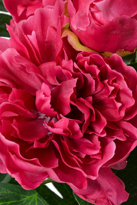15" Silk Peony Bush Fuchsia
