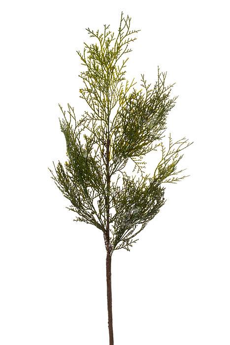 40" Iced Port Oxford Cedar Branch Natural/frosted