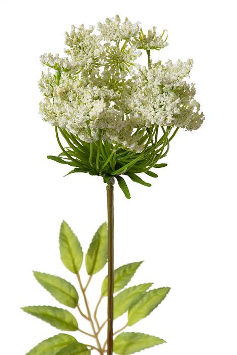 30" Queen Ann Lace Spray White