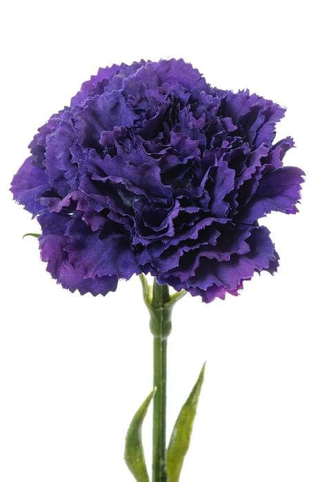 21.5" Silk Carnation Spray Plum
