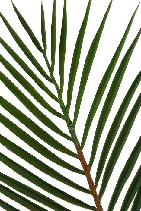 40" Palm Leaf Bundle Green Pkg/3