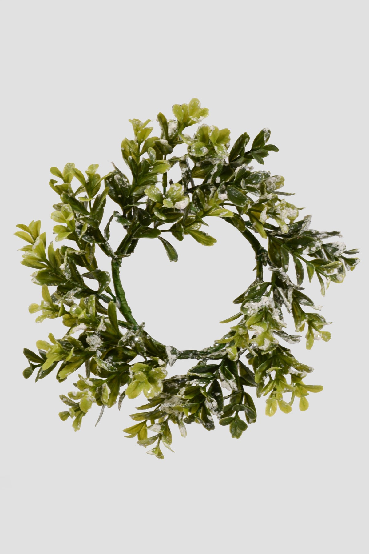 9" Mini Snowy Boxwood Candle Ring Green/White