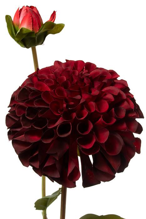 31" Silk Dahlia Spray Red/two Tone