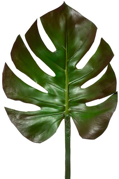 29" Monstera Leaf Spray Green/Brown