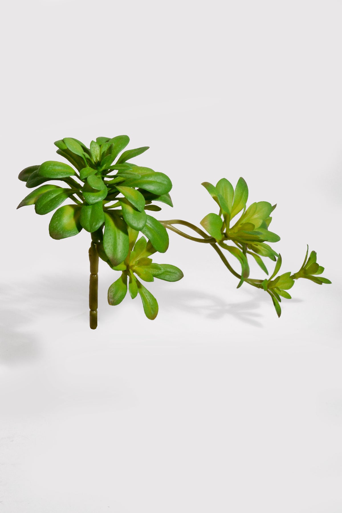 11.8" Artificial Soft Aeonium Pick Green