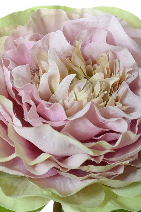 21.25" Rose Spray Cream/Lavender