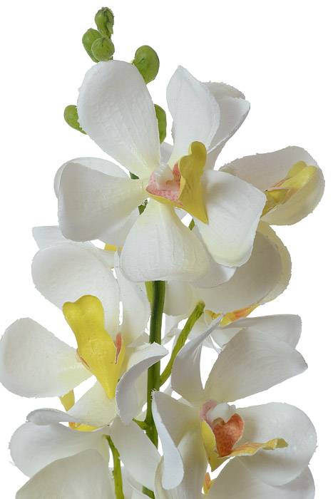 29" Vanda Orchid Stem White